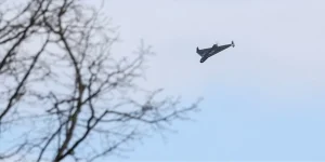 Дрон у небі над деревами в умовах дронового терору
