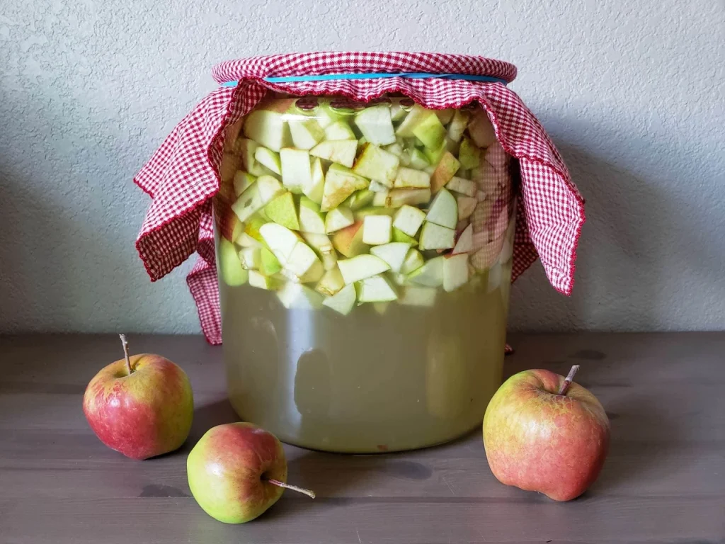 iabluchnyi-otset-fermentovanyi-eliksyr-dlia-kukhni-zdorovia-ta-domu-e8cb