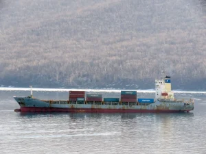 Контейнеровоз Fesco з контейнерами на палубі пливе по спокійній воді біля засніжених пагорбів